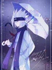 深入了解 Pr九天狐